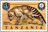 Thylacine