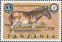 Quagga (Equus quagga quagga)