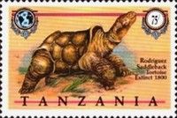 Rodriguez saddleback tortoise