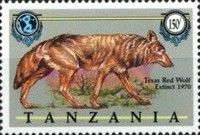Texas Red Wolf (Canis rufus)