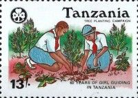 Planting trees
