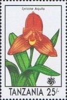 Lycaste Aquila