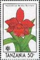 Vuylstekeara Monica 'Burnham'