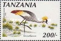 Grey Crowned Crane (Balearica regulorum)