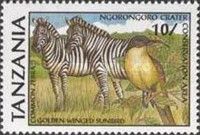 Plains Zebra, Golden-winged Sunbird
