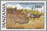 Black Rhinoceros, Common Ostrich