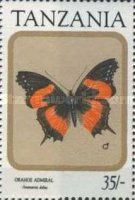 Orange Admiral (Antanartia delius)