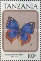 Jackson's Leaf Butterfly (Kallima jacksoni)