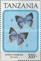 Crawshay's Sapphire (Iolaus crawshayi)