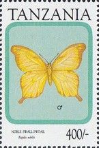 Noble Swallowtail (Papilio nobilis)