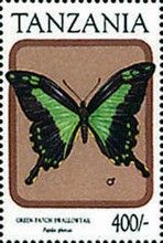 Green-patch Swallowtail (Papilio phorcas)