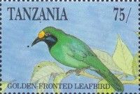 Golden-fronted Leafbird (Chloropsis aurifrons)