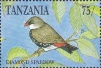 Diamond Firetail (Emblema guttata)
