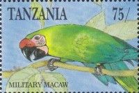 Military Macaw (Ara militaris)