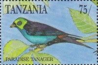 Paradise Tanager (Tangara chilensis)