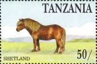 Shetland