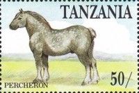 Percheron