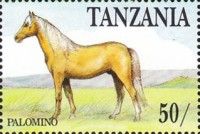 Palomino