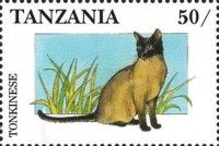 Tonkinese