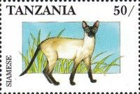 Siamese