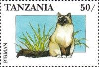 Birman