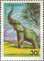 African Elephant (Loxodonta africana)