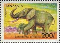African Elephant (Loxodonta africana)