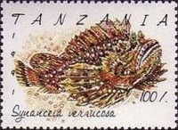 Reef Stonefish (Synanceia verrucosa)
