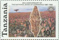 Sorghum farming