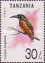 Common Kingfisher (Alcedo atthis)