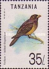 Yellow-billed Oxpecker (Buphagus africanus)