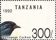 Common Cuckoo (Cuculus canorus)