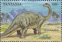Cetiosaurus