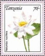 Nelumbo nucifera