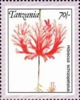 Hibiscus schizopetalus