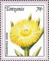 Carpobrotus edulis