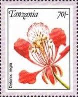 Delonix regia