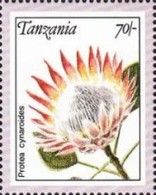 Protea cynaroides