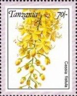 Cassia fistula