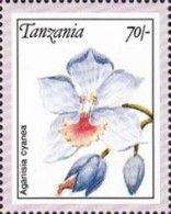 Aganisia cyanea