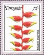 Heliconia rostrata