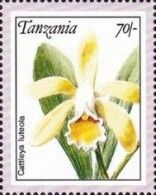 Cattleya luteola