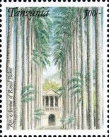 Avenue of Royal Palms, Rio