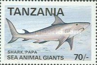 Shark