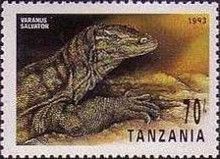 Water Monitor (Varanus salvator)