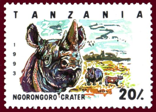Ngorongoro Crater, Black Rhinoceros (Diceros bicornis)