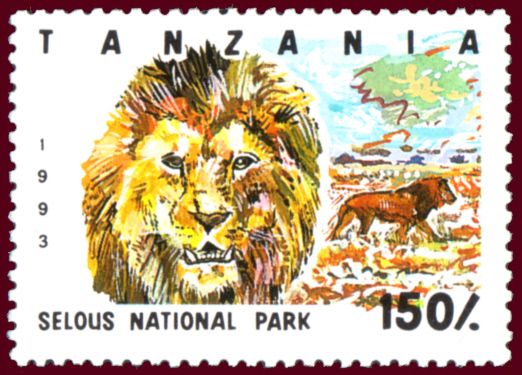 Selous National Park, Lion (Panthera leo)