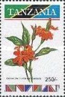 Crossandra nilotica