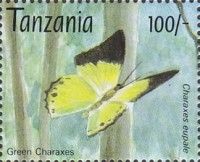Green Charaxes (Charaxes eupale)