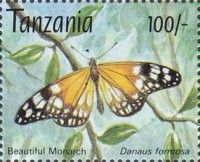 Forest Monarch or Beautiful Tiger (Danaus formosa)